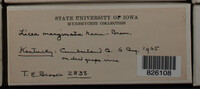 Image Associated With the Occurence